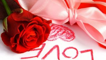 rose_love-lubov