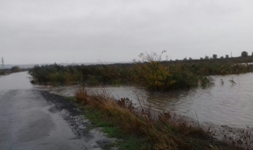 navodnenie