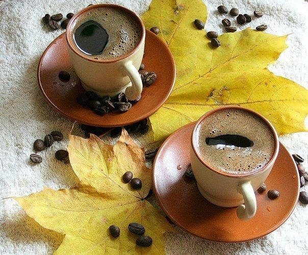 coffee