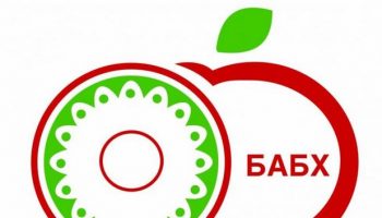agenciq-po-hranite-babh