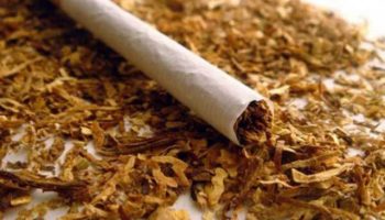 tutun-cigara