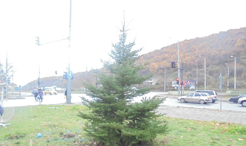 elha
