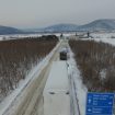 hainboaz