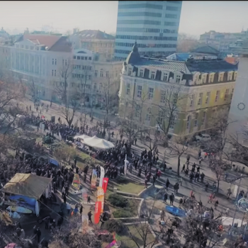 nikuldan-2016