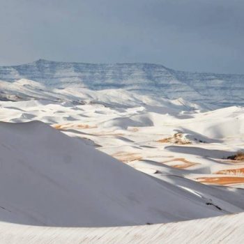 sahara