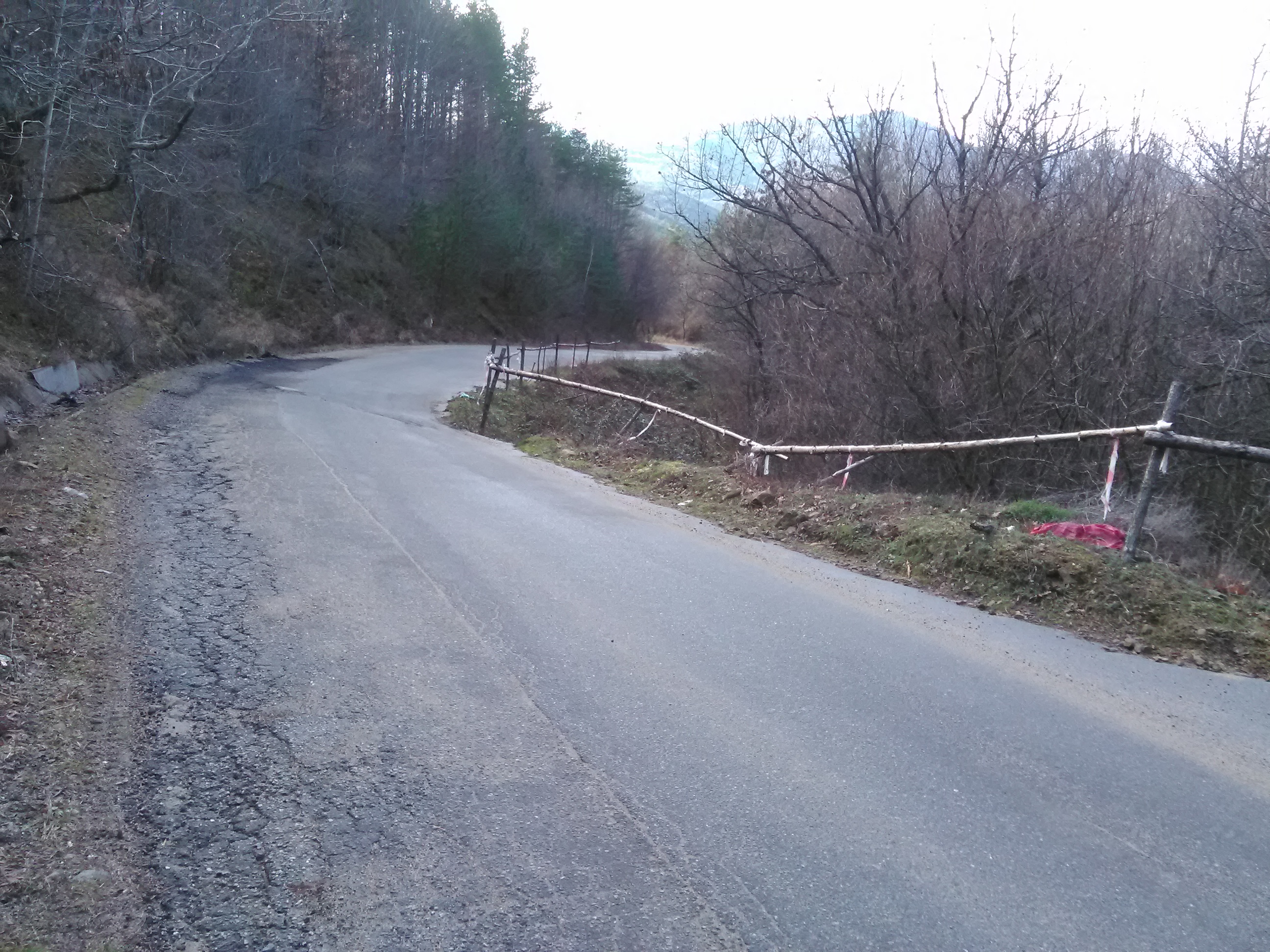 svlachitshe (1)