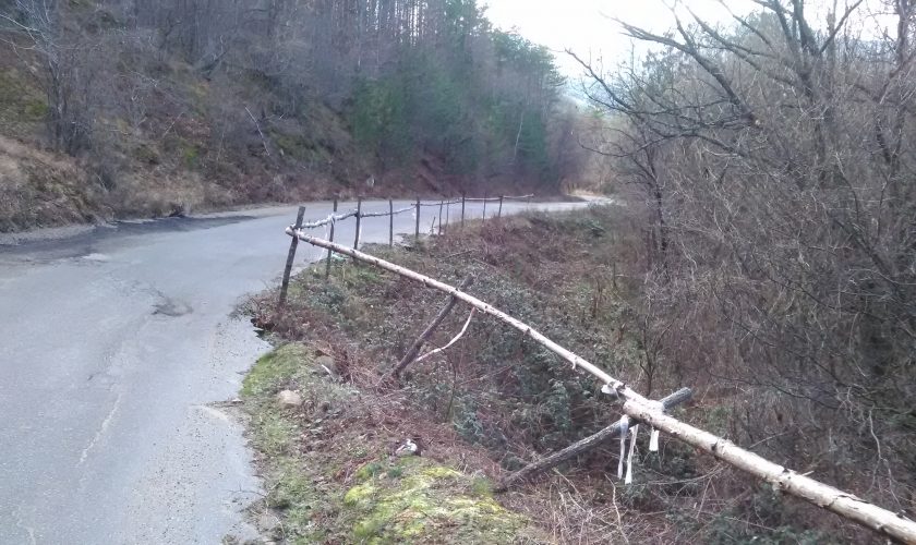svlachitshe (2)