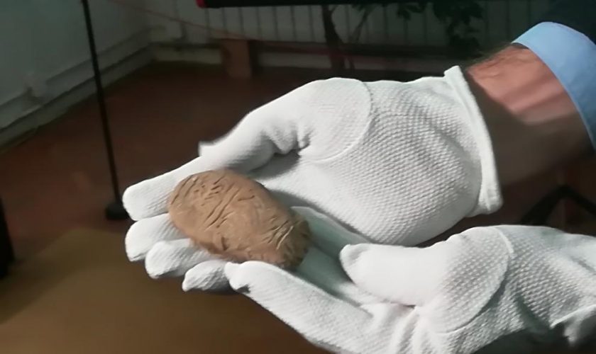 plochka-arheolozi