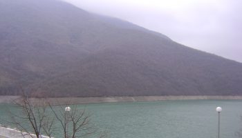 qzovir asenovec