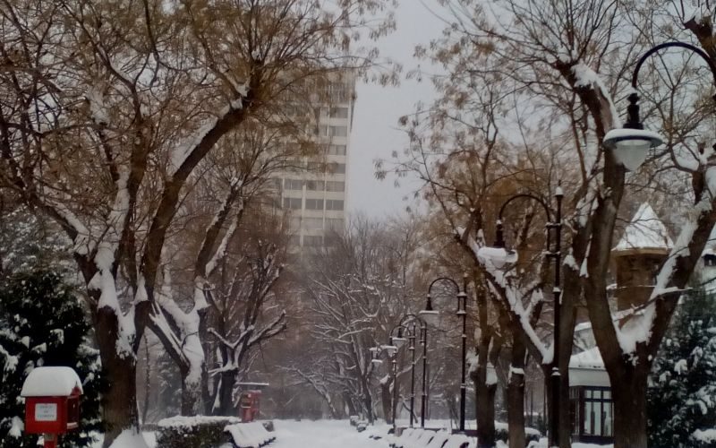 sliven-snqg