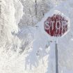 snqg-stop