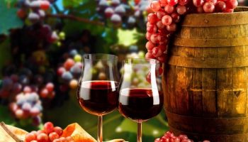 vino