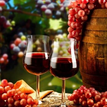 vino