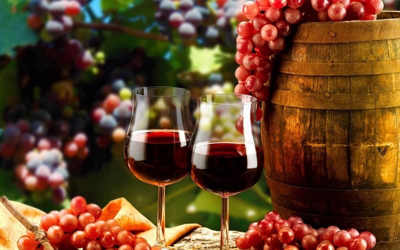 vino