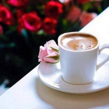 coffee