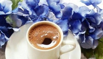 coffee