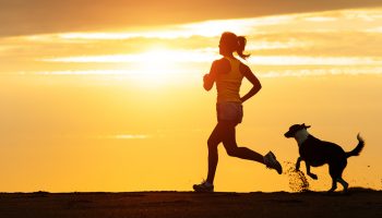 sport-kuche