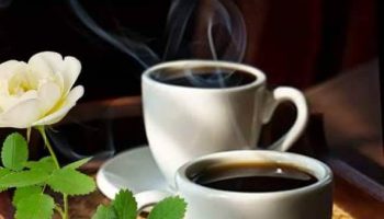 coffee