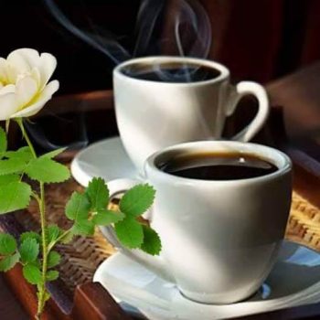 coffee