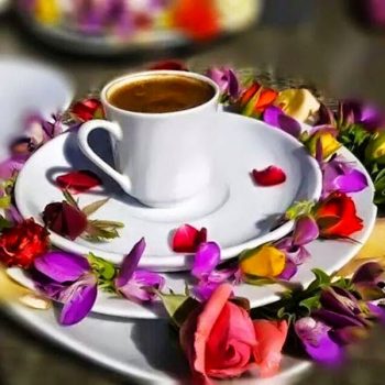 coffee