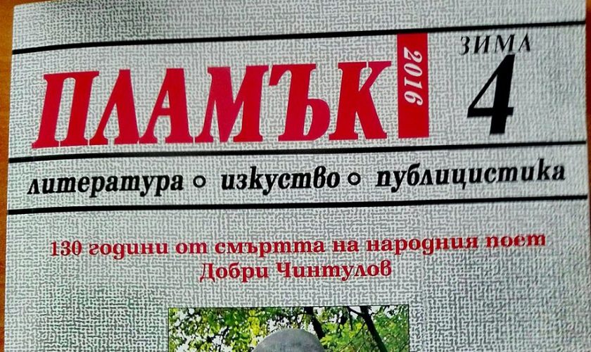 plamyk