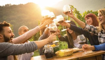 alkohol-vino-priqteli