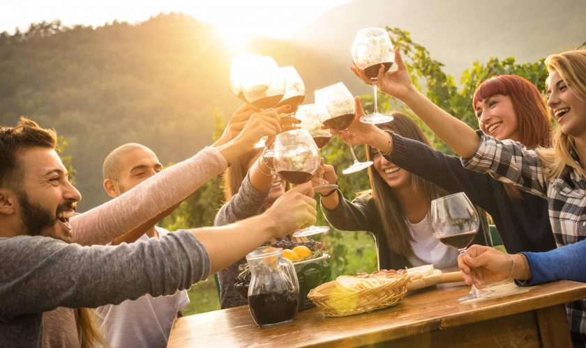 alkohol-vino-priqteli