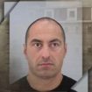 pelev