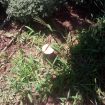 IMG_20180719_110042