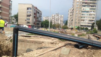 Roz.gradina_4