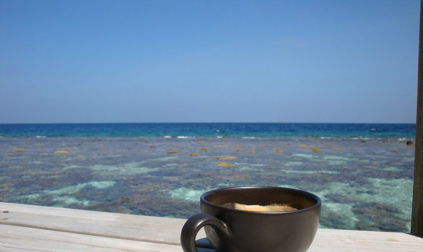coffee