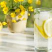 limon
