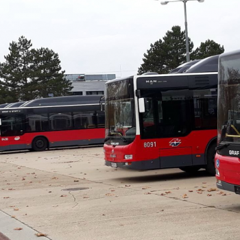 MAN avtobus qmbol