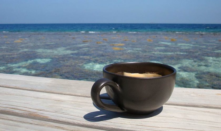 coffee