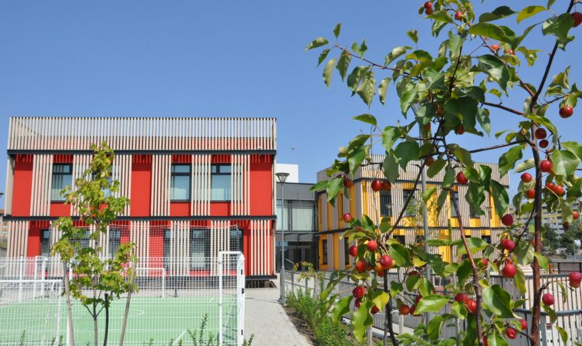 pinokio-det. gradina-bs