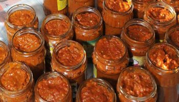 burkani lutenica