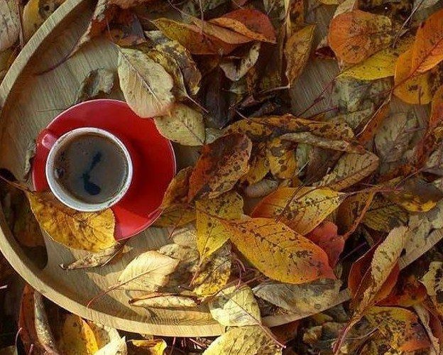 coffee