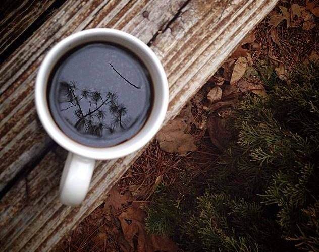 coffee