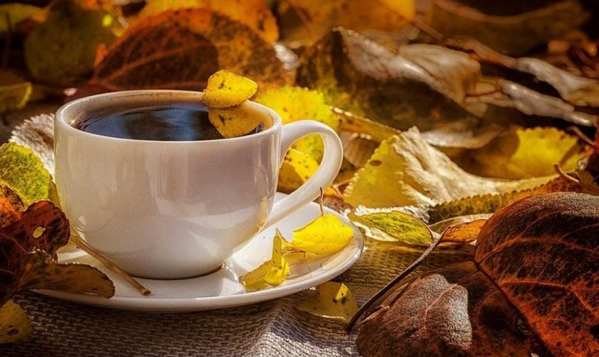 coffee