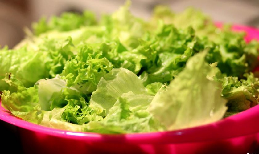 marulq-salata