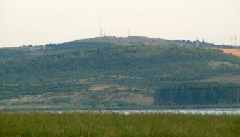 vryh shiloto
