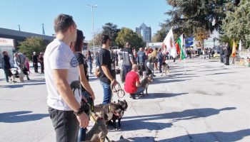 Панаир-снимка-19.10.2018