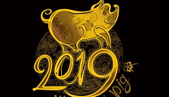 2019-pig