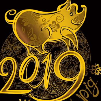 2019-pig