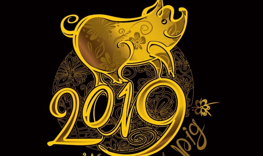 2019-pig