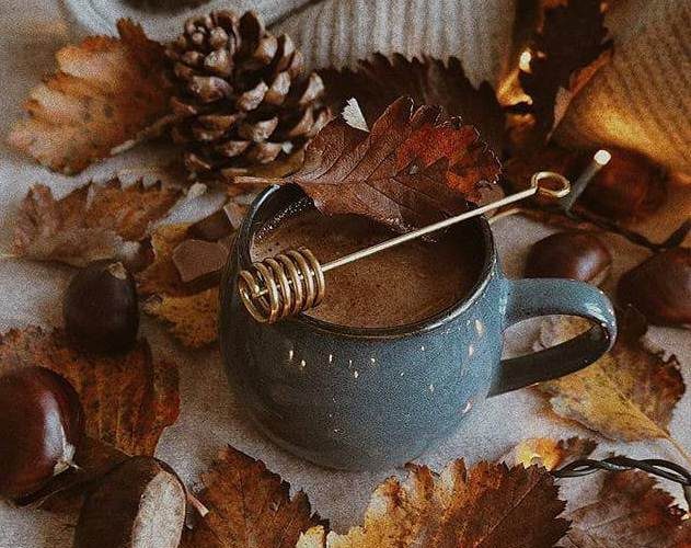 coffee