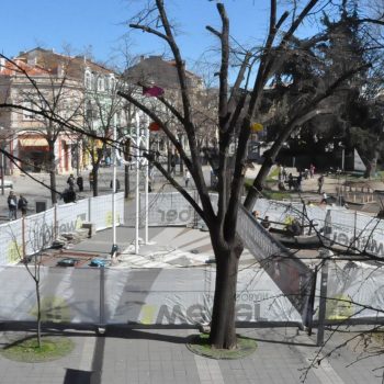 burgas-izgled