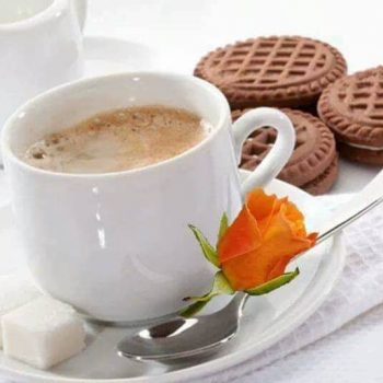 coffee