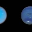 neptun