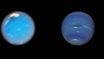 neptun